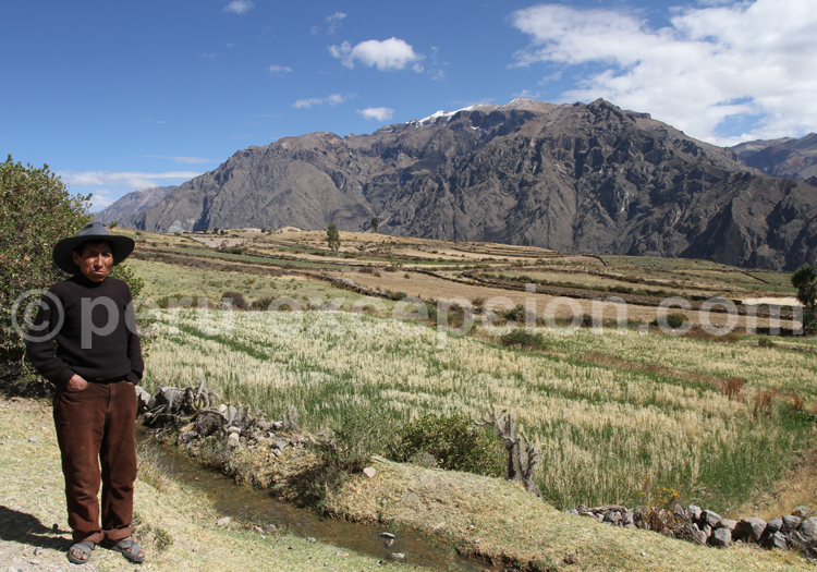 Vallée de Colca