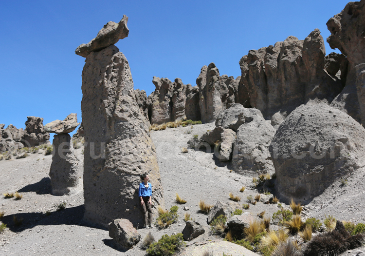 Formations de Pumata