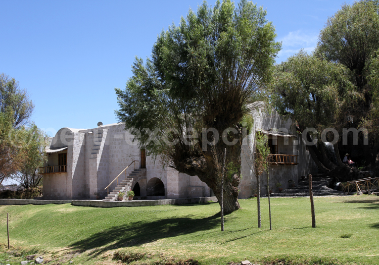 Molino de Sabandía