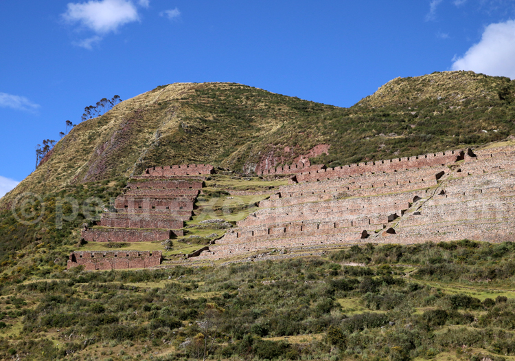 Machoqolqa