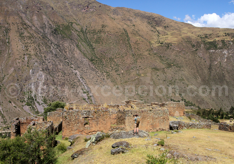 Ruines de Puma Marca