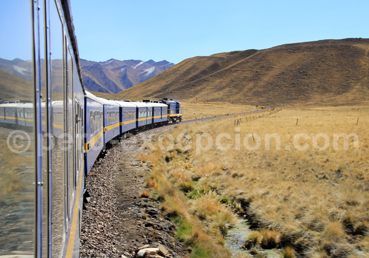 Train de Cuzco à Puno
