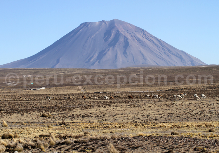 Volcan Misti, Arequipa