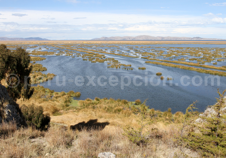 Vue sur le lac Titicaca