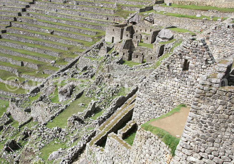 Le secteur agricole du Machu Picchu