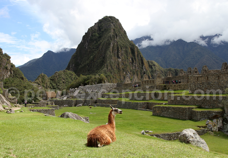 Grande place, cité du Machu Picchu