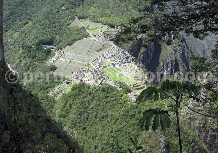 Cerro Huayna Picchu