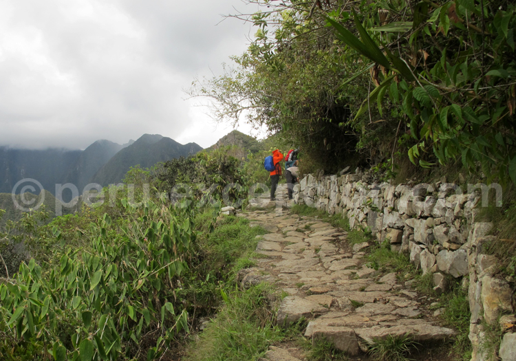 Le Chemin de l’Inca