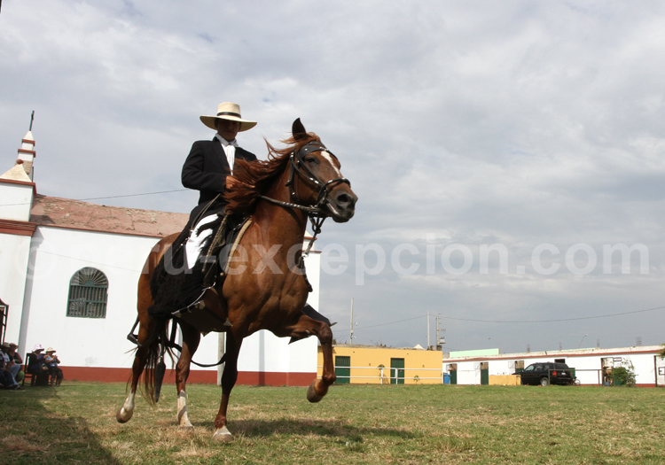 Concours national de Caballos de Paso, Trujillo