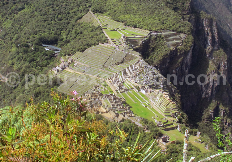 Description de la Cité du Machu Picchu