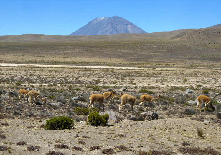 Salinas y Aguada Blanca - Cédits Licence cc