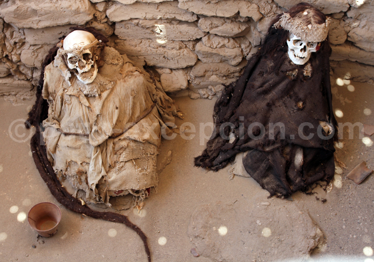 Momies de Chauchillla, Nazca