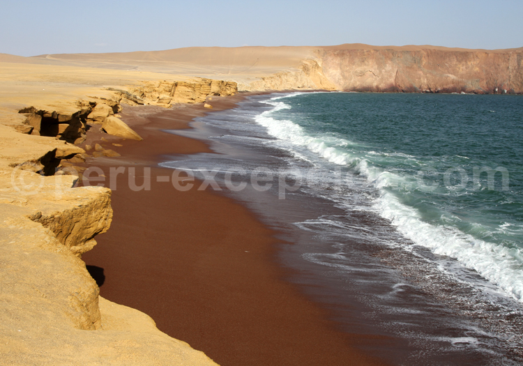 Réserve nationale de Paracas