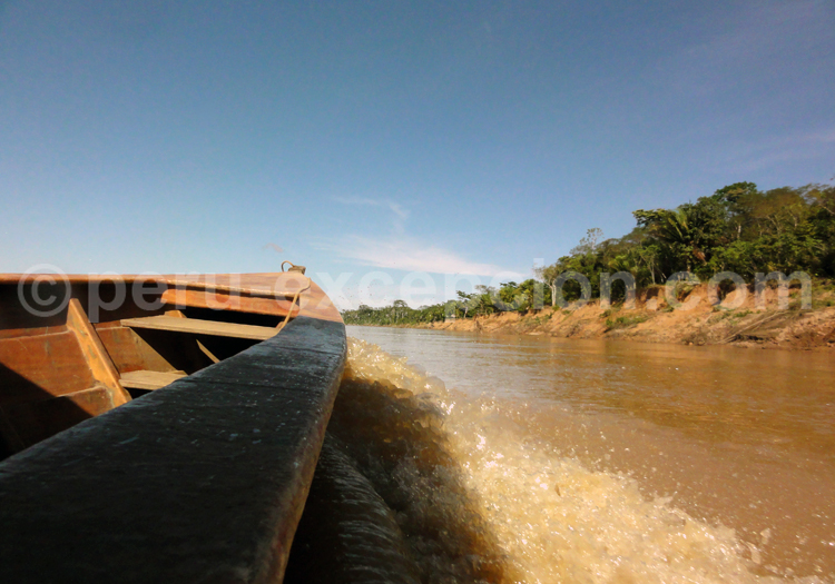 Safari photo au Pérou - Río Madre de Dios