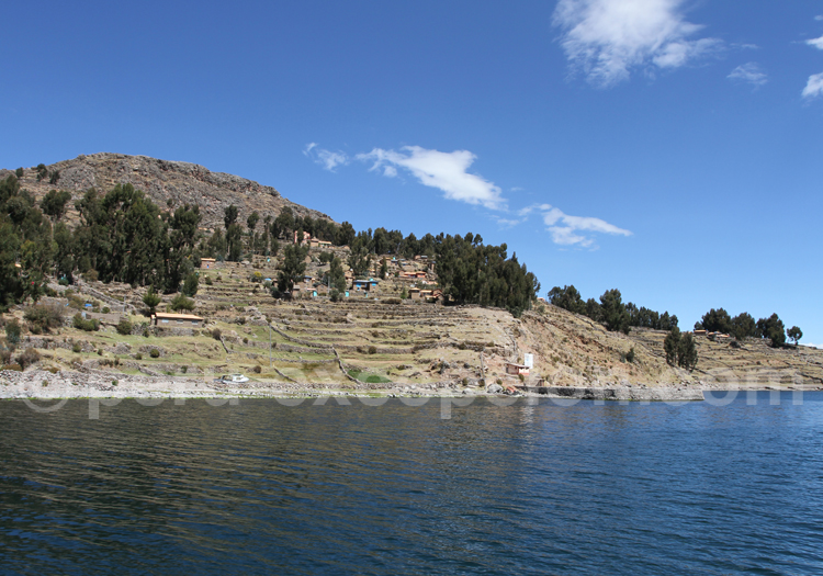 Ile Amantani