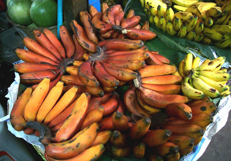 Red banana cc wikipedia by Ekem