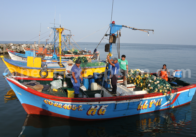 Pêche au Pérou