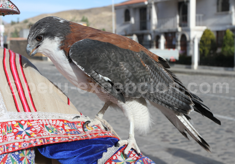 La boquilla tricolor