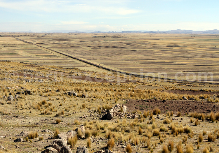 Camellones entre Titicaca et Sillustani