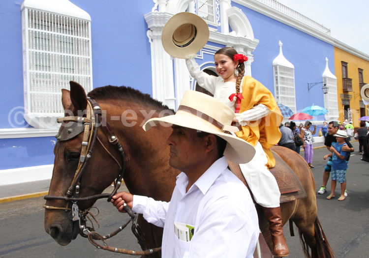 Cheval de paso peruano