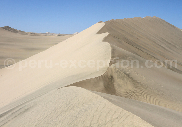 Les dunes du désert d'Ica