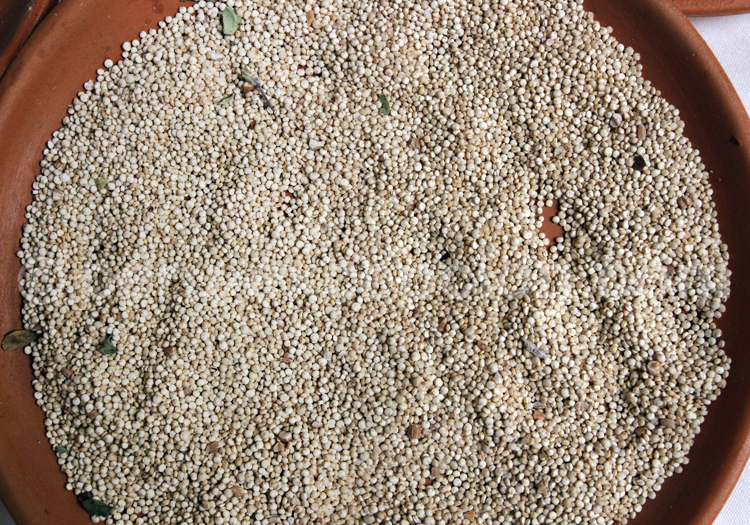 Kiwicha
