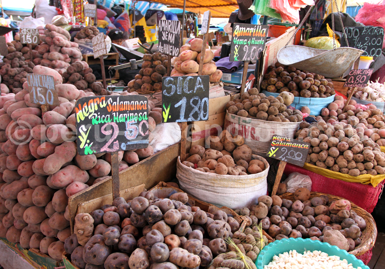 Pommes de terre sur le marché de Cusco