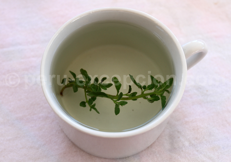 Té yerbal de muña, Lago Titicaca