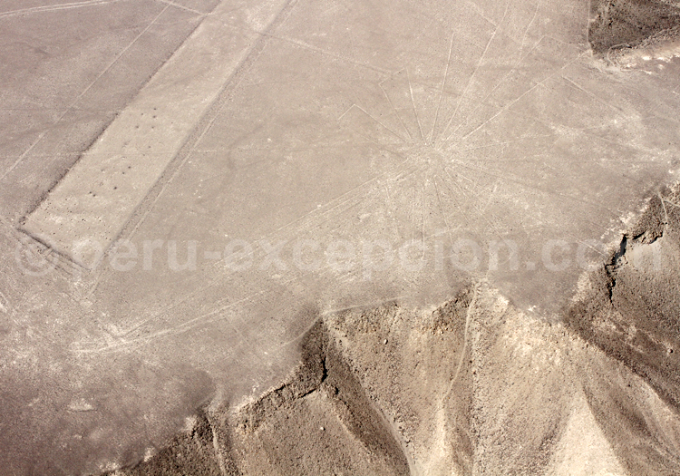 Etoile de Nazca
