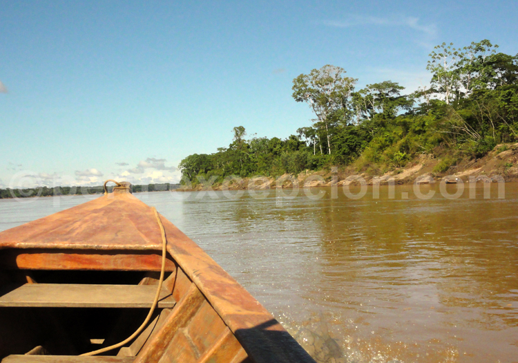 fleuve amazone pérou