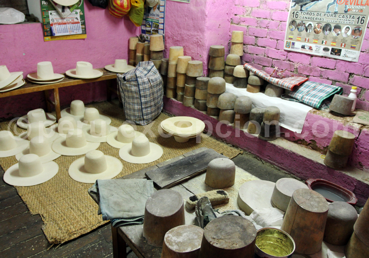 Panamas de Celendin