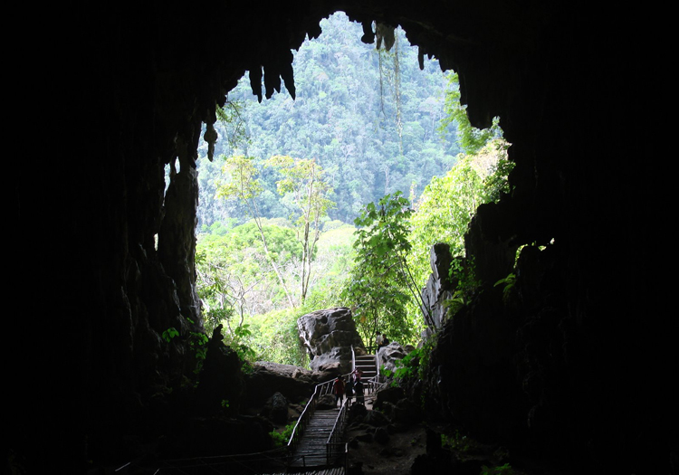 Cueva de las lechuzas du parc Tingo Maria