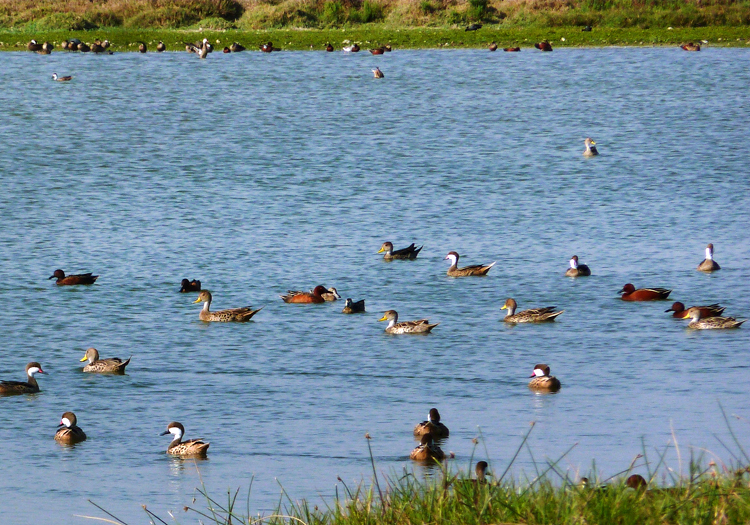 Lac du sanctuaire de Lagunas de Mejía