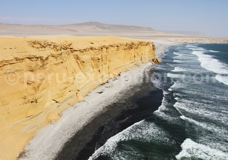 Réserve Paracas