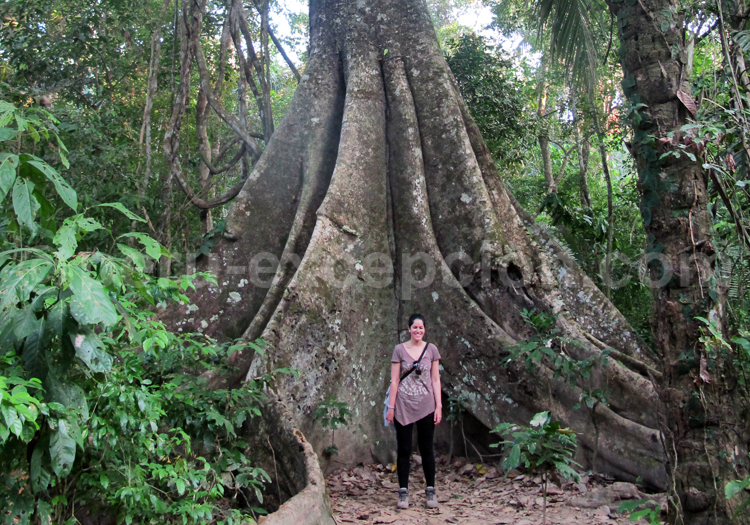 Réserve nationale de Tambopata