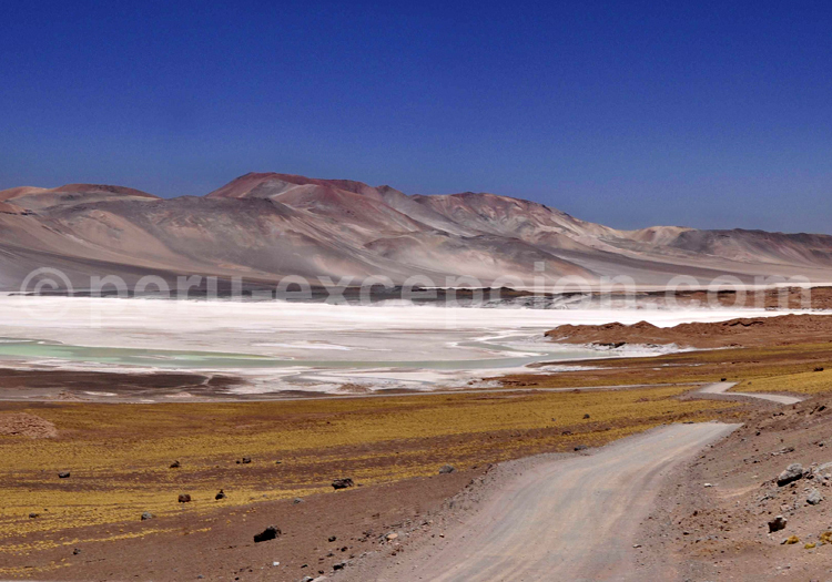 Salar de Aguas Calientes III, Atacama