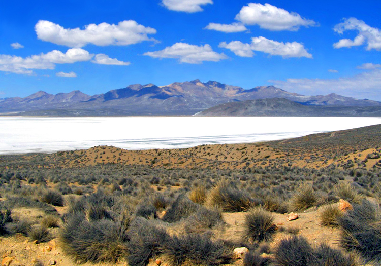Laguna de Salinas, Aguada blanca