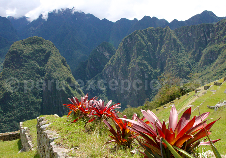 Sanctuaire national du Machu Picchu Sanctuaire national du Machu Picchu