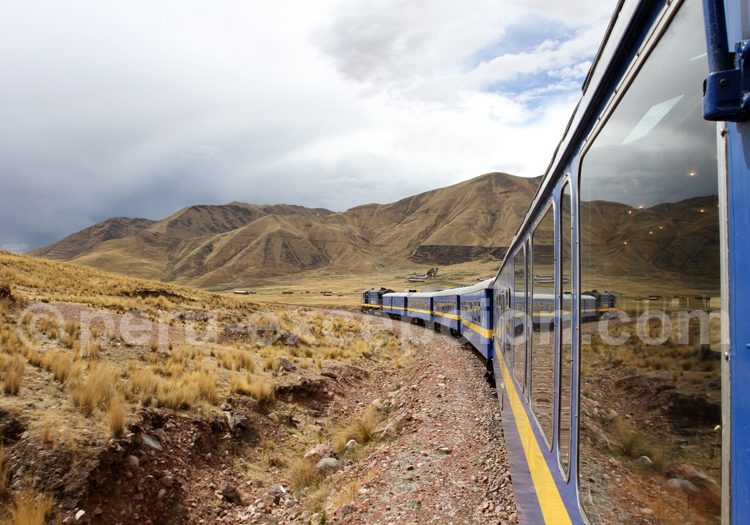 Train de Cuzco à Puno