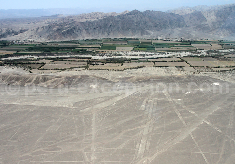 Trapézoides de Nazca