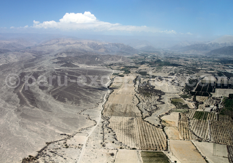 Vallée de Nazca