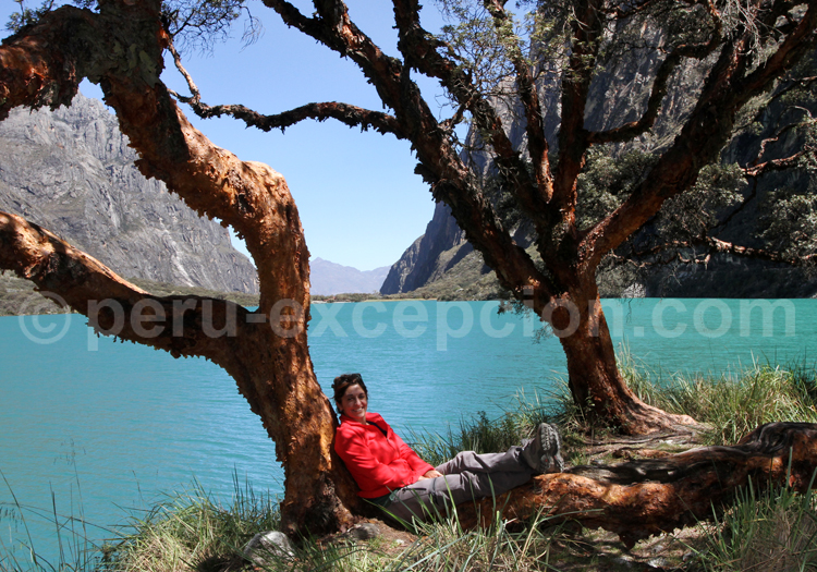 Lac Llanganuco, Cordillère Blanche