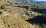 Canyon du Colca, Pérou