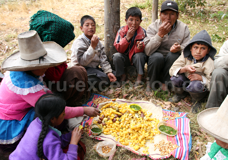 Tradition des récoltes à Cajamarca