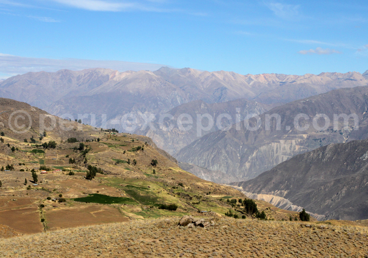 Canyon de Colca, Pérou