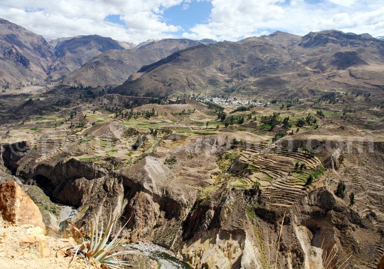 Madrigal, vallée du Colca