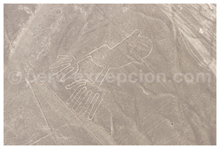 Géoglyphe de Nazca