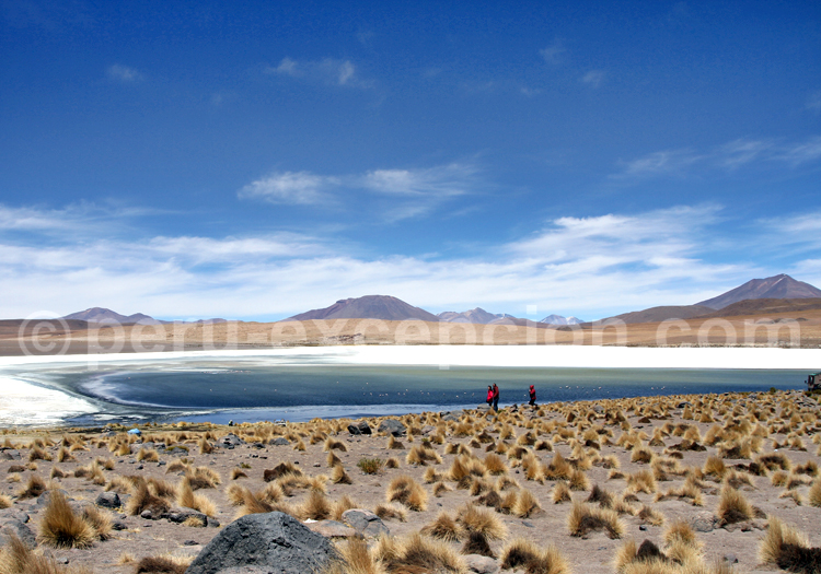 Volcans et lagunes de Bolivie