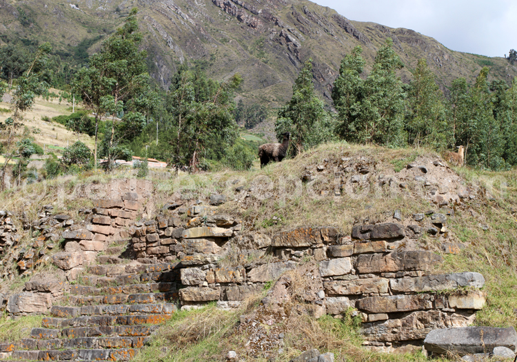 L’Archéologie au Pérou