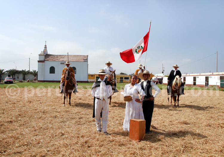 Caballos de paso, Trujillo